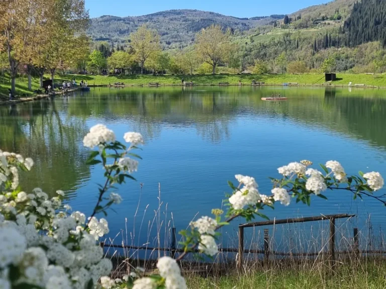 Trattoria Fiesole_25